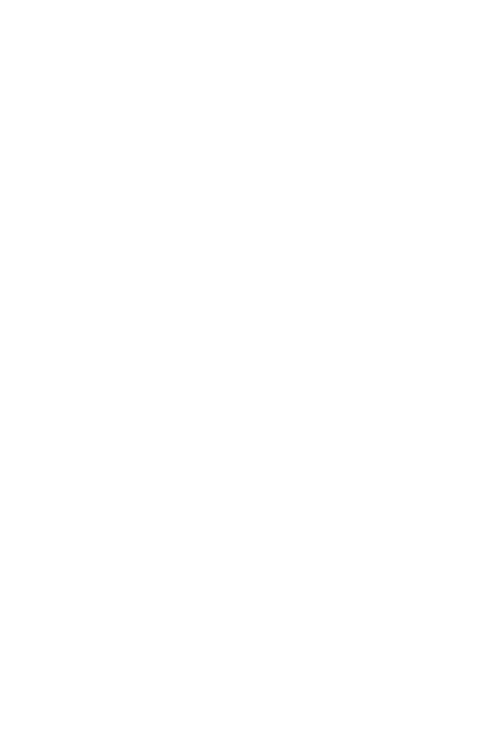 Vista frontal de Starlink Standard 4 X