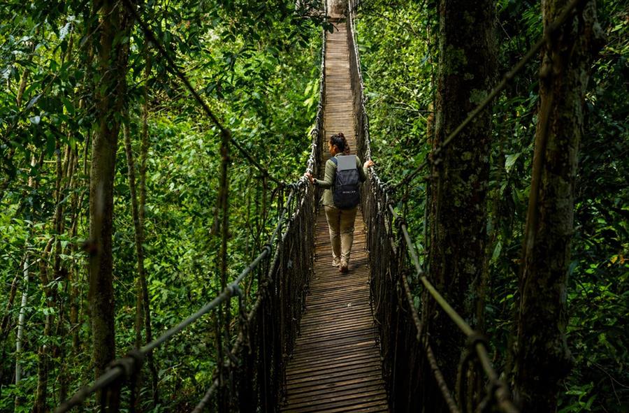 Operación SATNET en zona de selva